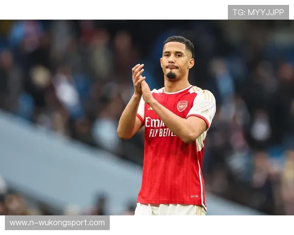 威廉·萨利巴在法国国家队轮换体系中的角色解析