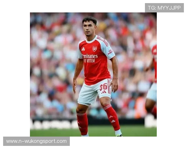 祖比门迪能否取代罗德里：防守型中场的战术适配与差距分析